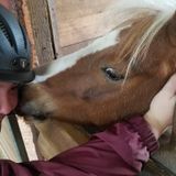 Enthusiastic House and Pet Sitter looking for work in Marin County