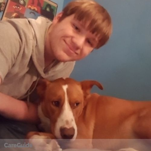 Pet Care Provider Jamie D's Profile Picture