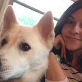 Caring Dog Sitting Professional in Franklin