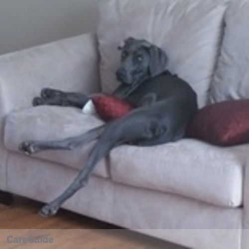 Pet Care Job Ky H's Profile Picture