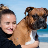 Friendly easy going Boxer momma, your pet guardian:)