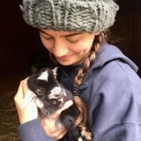 Looking for opportunities to responsibly and lovingly care for pets in your absence!