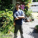 Landscaping & Garden Maintenance