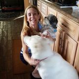 Pet sitter, walker, trainer available for your pets.
