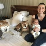 Part-time nanny for 1 cute baby and two cute dogs.