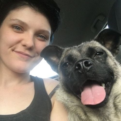 Pet Care Provider Natasha Lutz's Profile Picture