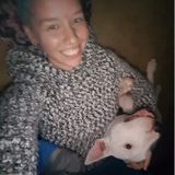 Adaptive, athletic, caring pet-sitter available now