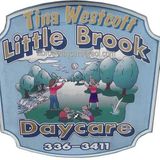 Licensed Daycare Provider Has Openings