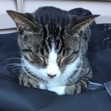 Flexible Pet Care Provider for Your Home