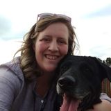 House/ Pet Sitting and Dog Walking