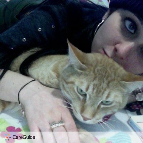 Pet Care Provider Betty D's Profile Picture