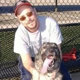 Knowledgeable pet services in Addison, Texas. Full service for pets