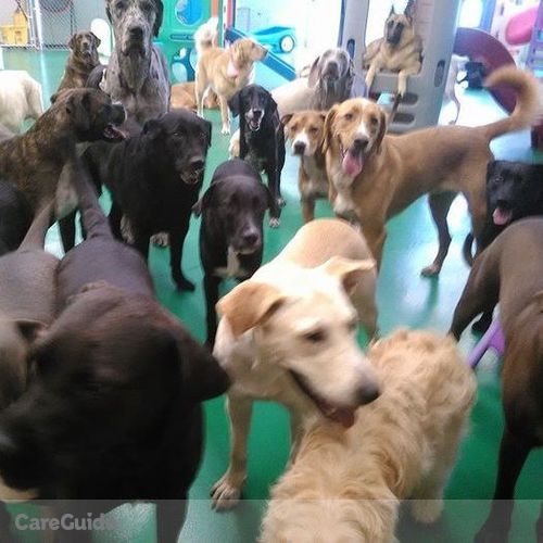 Pet Care Job Bark Avenue P's Profile Picture