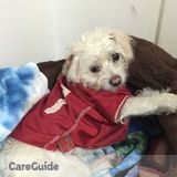 At Last! Compassionate Pet-Sitter, Nurturing Animal Lover, Flexible To Your Scheduling Needs?