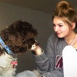 Ottawa Dog Sitter Interested In Work