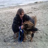 Experienced and Engaging Mississauga Nanny