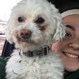 Need a pet sitter? I'm your girl