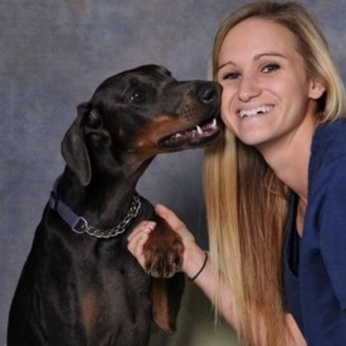 Pet Care Provider Kayla S's Profile Picture