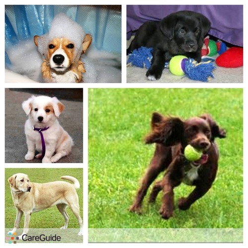 Pet Care Provider Chappianne Gavin's Profile Picture
