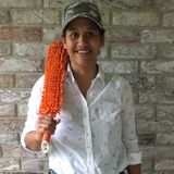 Houston Housekeeping Service Interested In Being Hired
