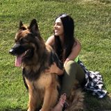 Queens Dog Walker and Pet Sitter Searching for Job Opportunities
