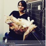 Entrust your pets with a veterinary professional !