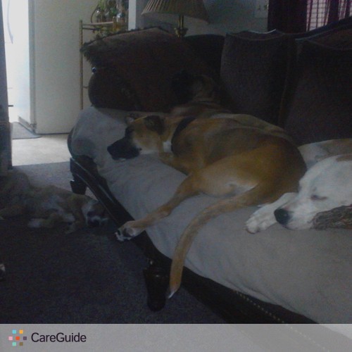 Pet Care Provider Crystal P's Profile Picture