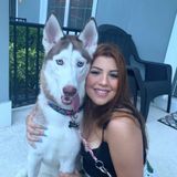Capable Dog Walker Available Immediately
