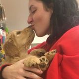 Winchester Dog Sitter Seeking Work!