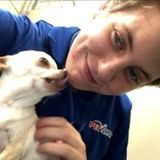 Animal Caretaker
