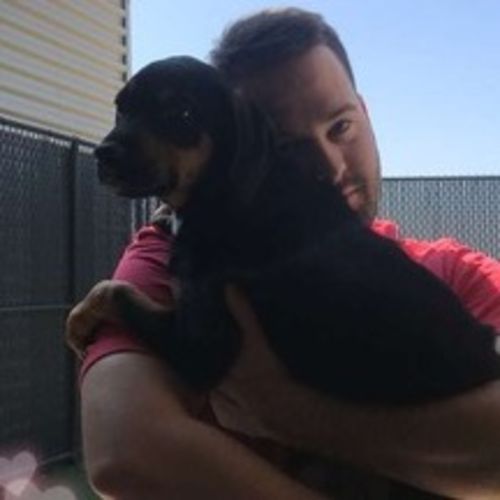 Child Care Provider Alex C's Profile Picture