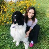 Pet Sitter, Dog Walker, and Animal Lover!