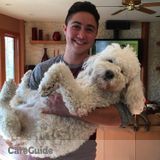 Professional Pet Care Available Now in Orlando