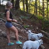 Seeking Lower Mainland House Sitting Professional, British Columbia Jobs
