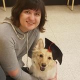 Professionally Trained and Pet CPR and First Aid Dog Caretaker, Studying Dog Trainer