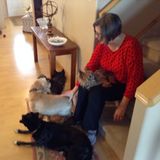 Interviewing For House Sitter, Alberta Jobs