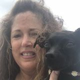 I am offering my love,I have for dogs. I always talk to my dogs. They listen better then my daughter. I love cuddling and giv