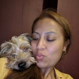I'm a dog lover