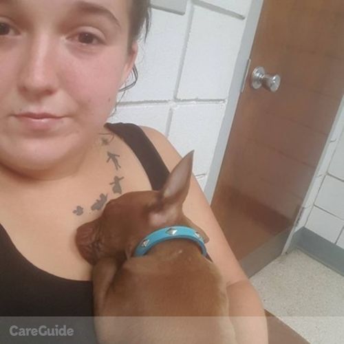 Pet Care Provider Taylor McAnany's Profile Picture