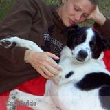 Loving and caring Pet Sitter available : )