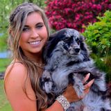 Available: Exceptional Pet Carer in Clarence
