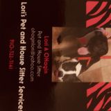 Trusted Pet and House Sitter. Will watch your pet in your home with familiar surroundings. Your Pet is my pet!