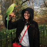 Loving and Passionate Pet Sitter!
