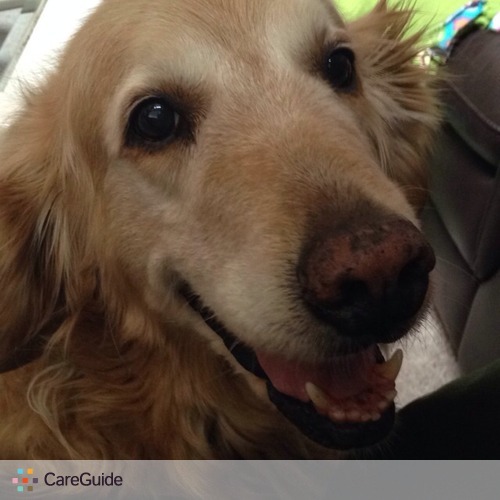 Pet Care Provider Julianne S's Profile Picture