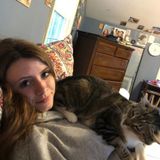 Disciplined Pet Carer