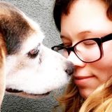 Animal lover looking to take care of both dogs and cats!