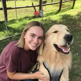 San Diego Dog Care Provider for Your Furry Friends (: