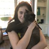 Webster/Houston, Texas Pet Care Provider