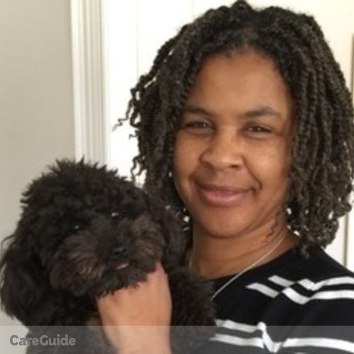 Pet Care Provider Jennifer C's Profile Picture