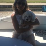 Looking For an Animal Lover Looking for jobs, walking dogs , take